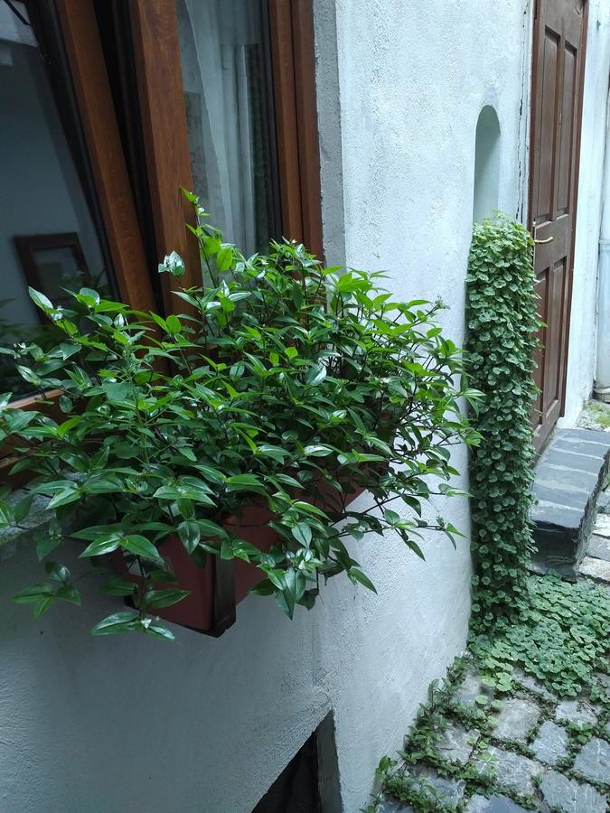 Postavarului Brașov